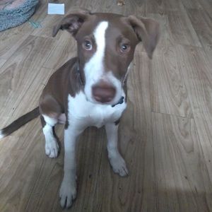 Meet your Posher, Linda